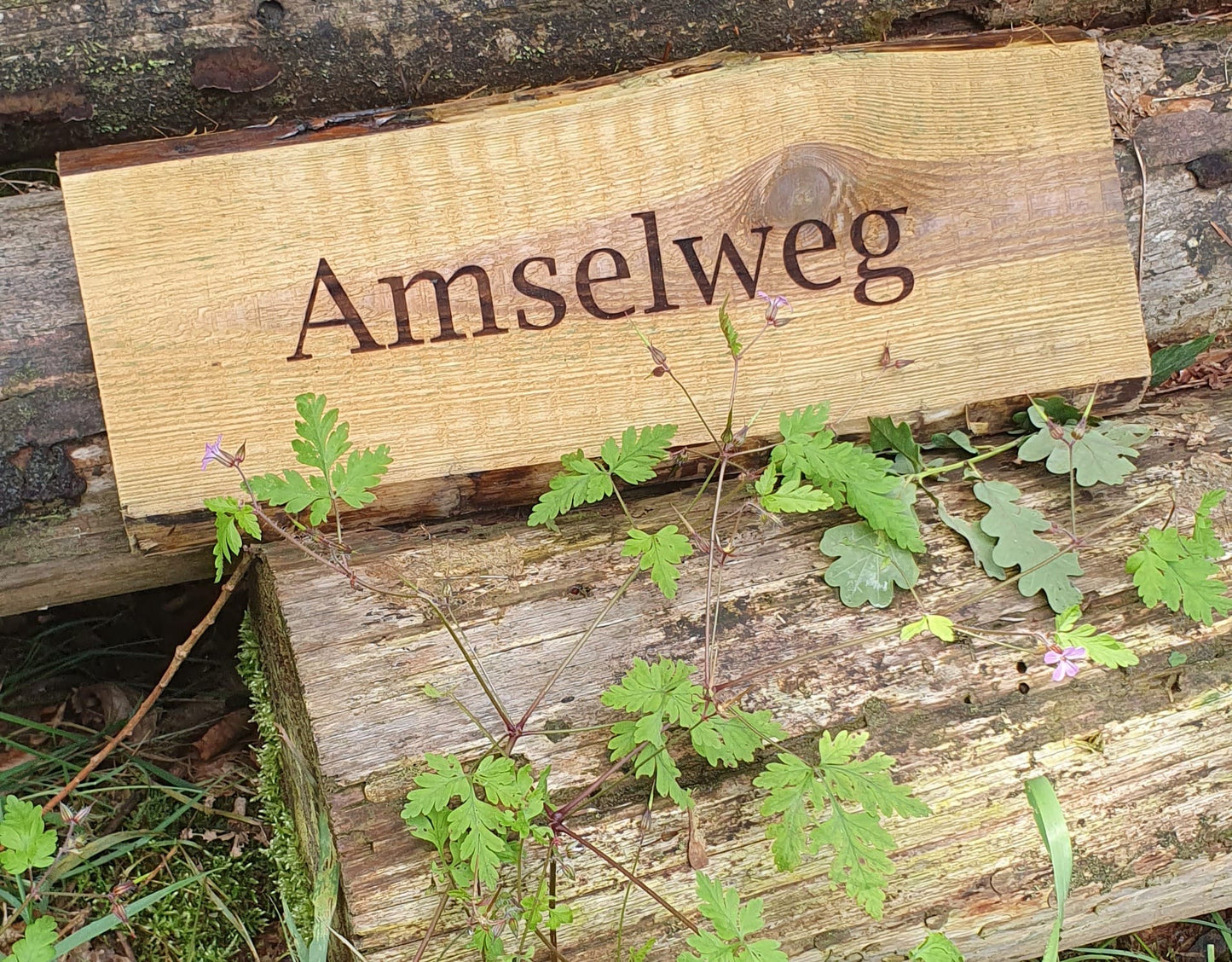Holzschild 45cm Unbesäumt