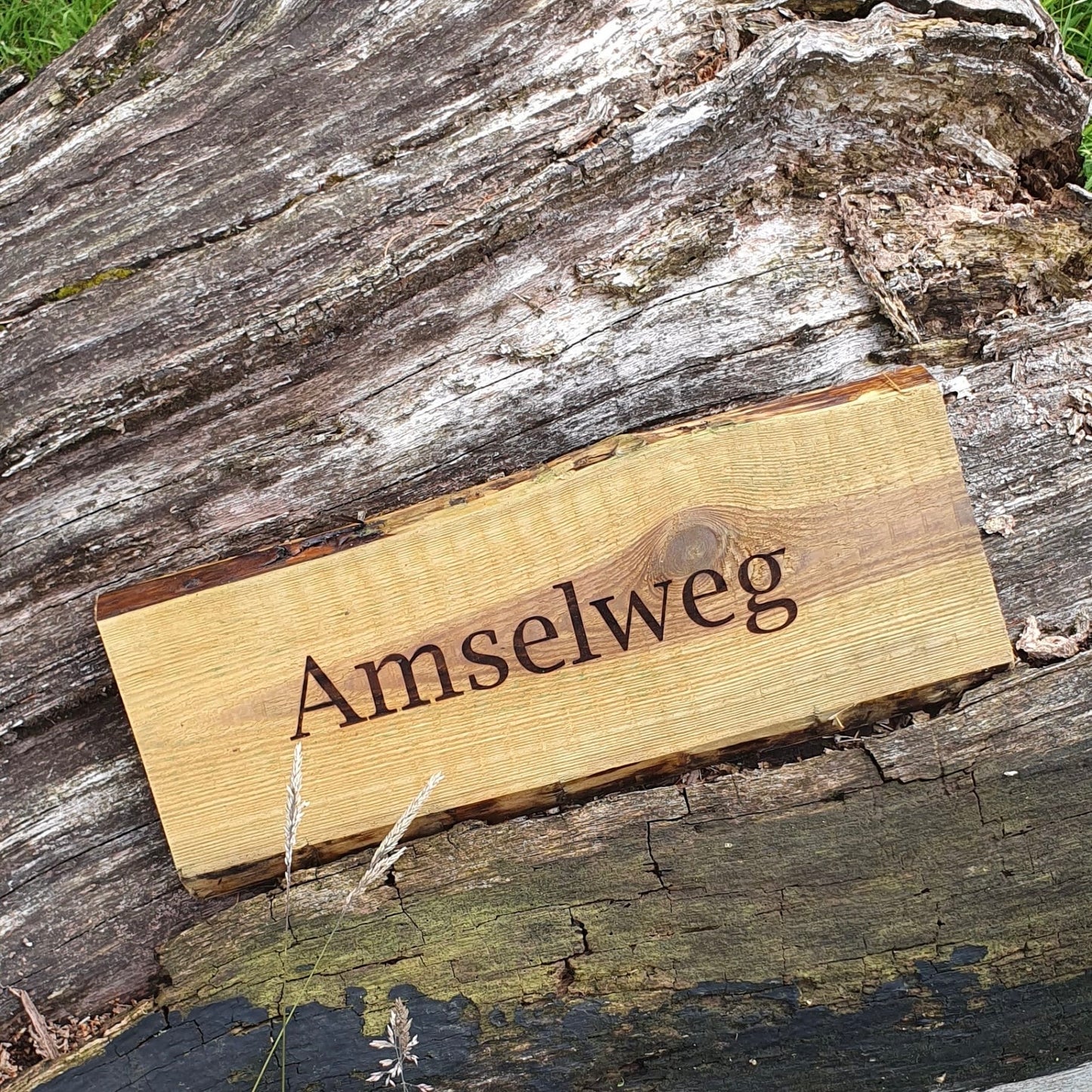 Holzschild 45cm Unbesäumt